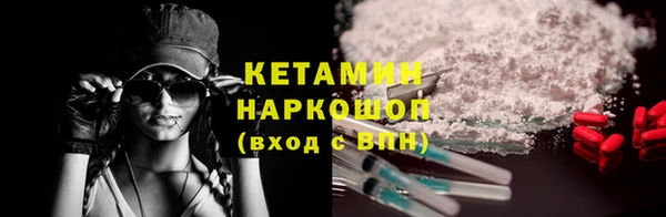 сатива Осинники