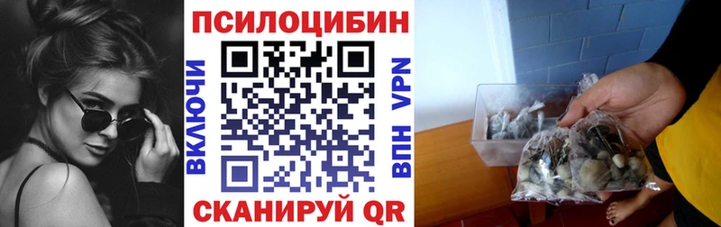 купить закладку  Отрадная  blacksprut вход  Псилоцибиновые грибы прущие грибы 